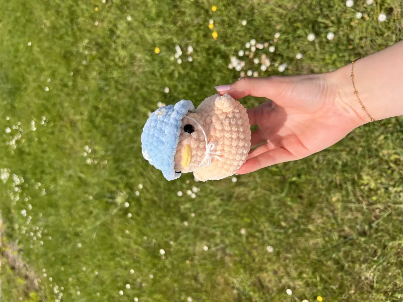 Chonky Duck