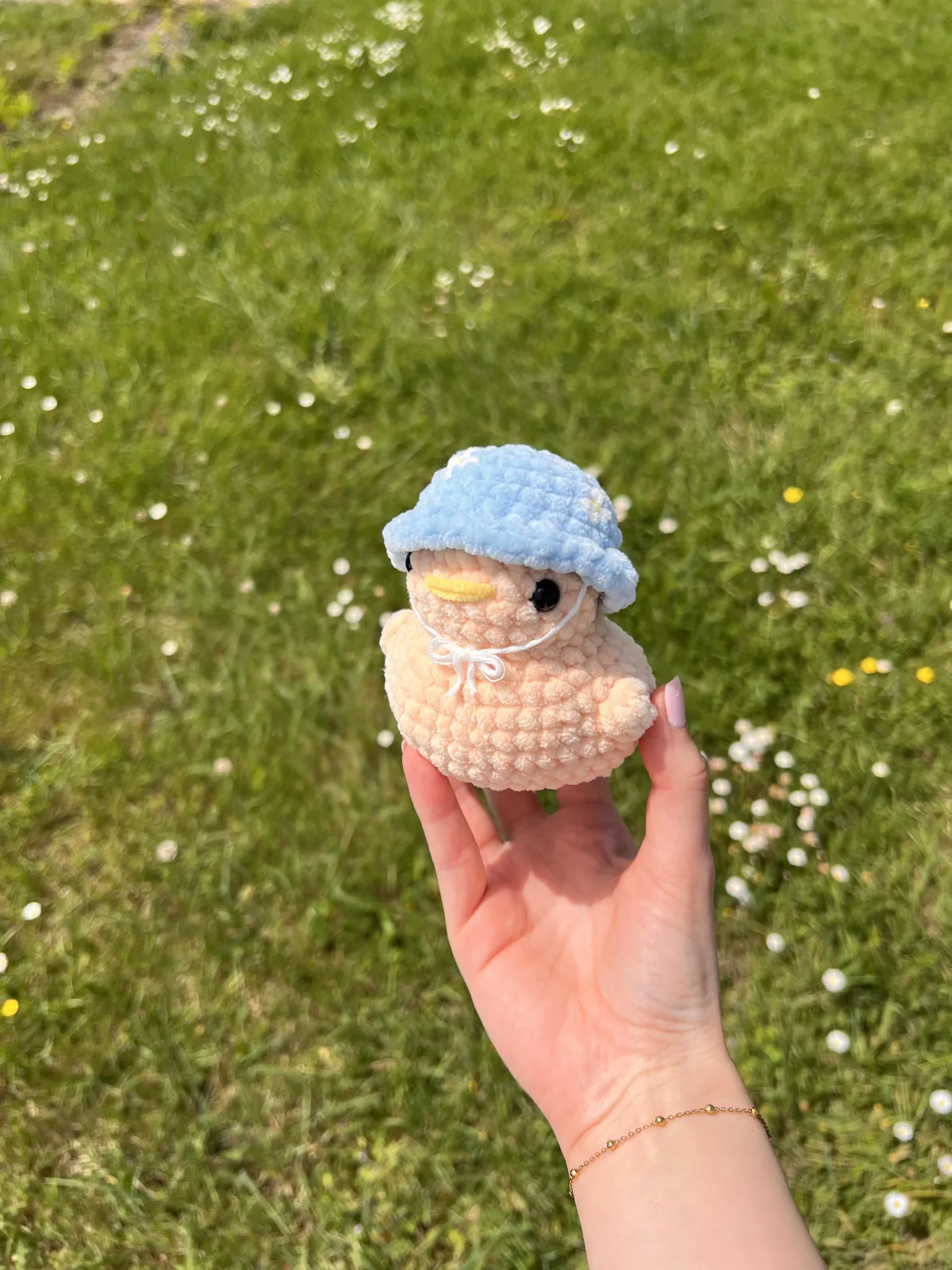 Chonky Duck