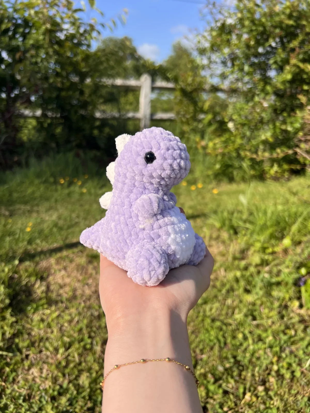 Baby Dinosaur