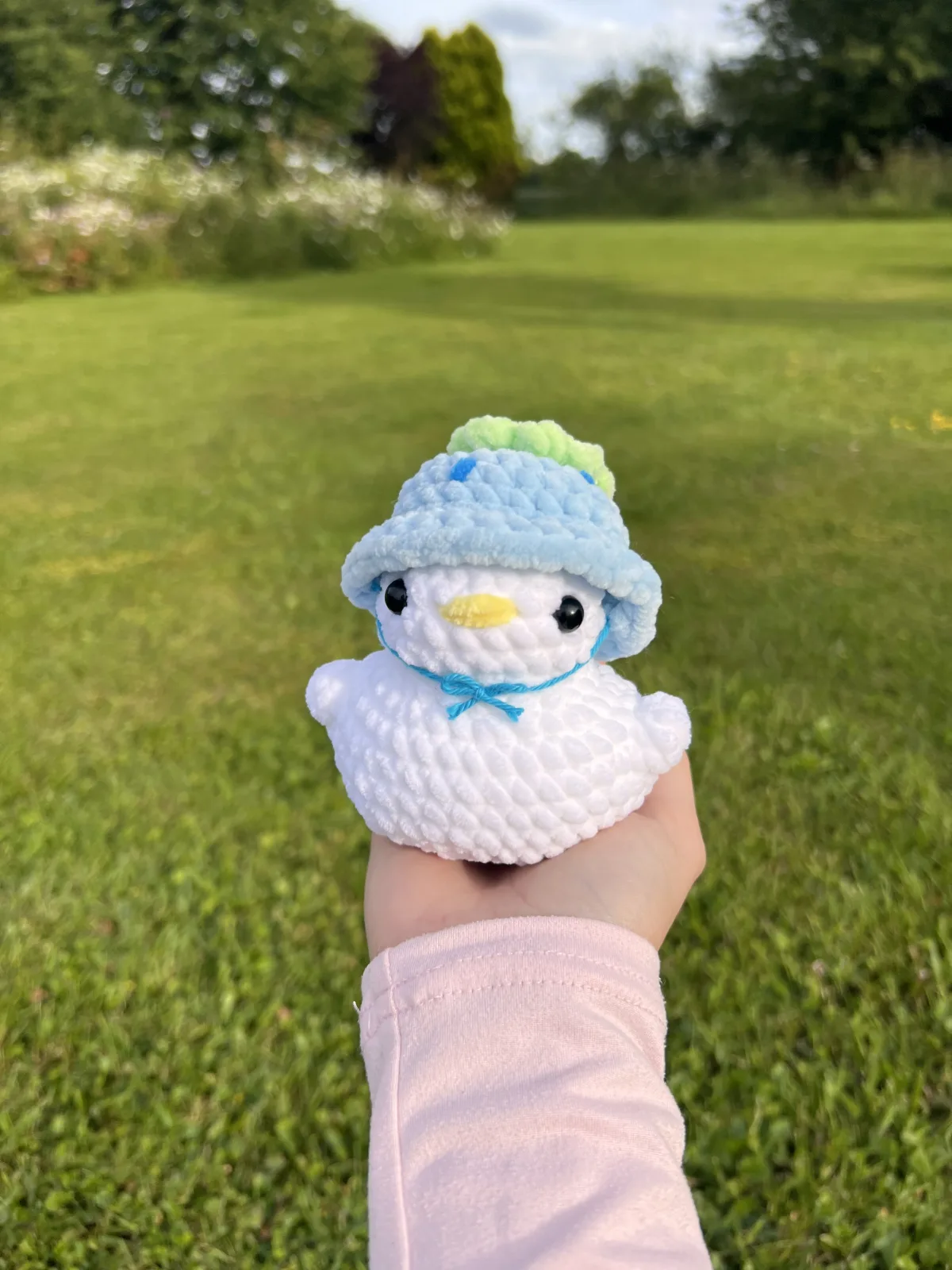 Chonky Duck — Blueberry Hat